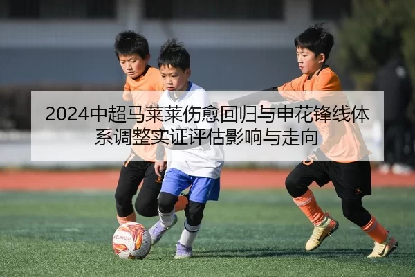 2024中超马莱莱伤愈回归与申花锋线体系调整实证评估影响与走向
